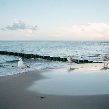 Kamphof Usedom Ferienanlage 로딘 외부 사진