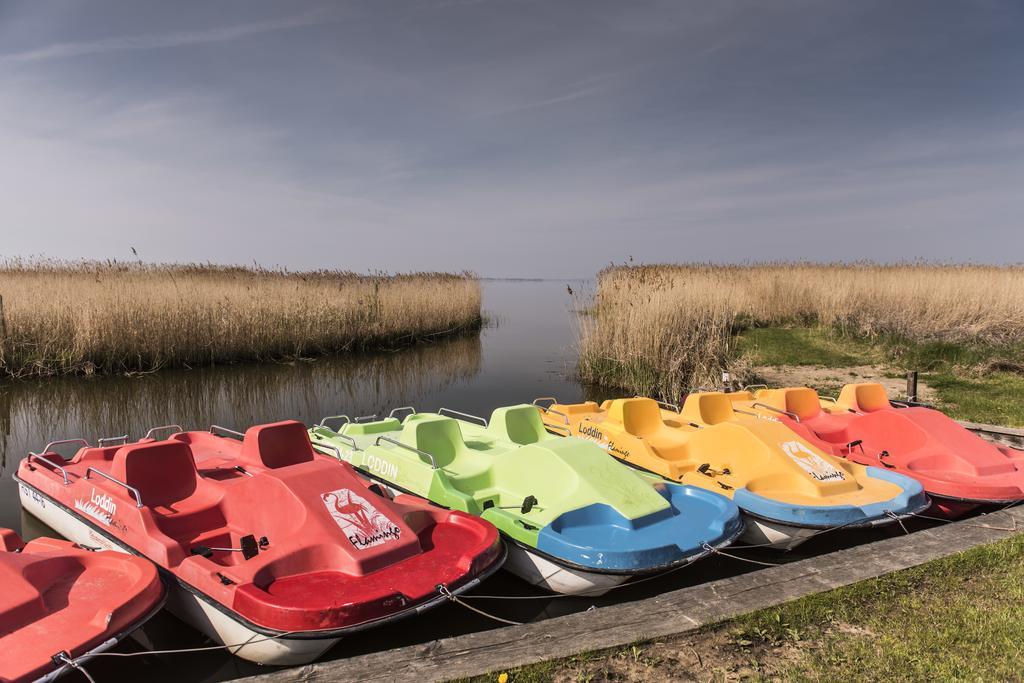 Kamphof Usedom Ferienanlage 로딘 외부 사진
